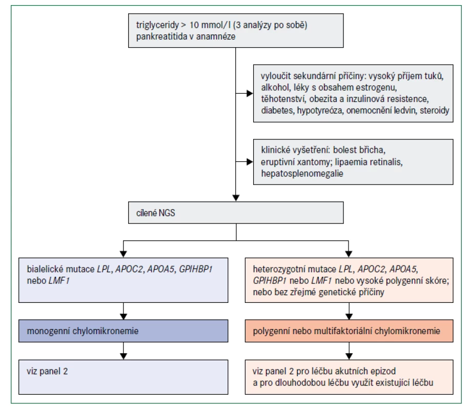 Algoritmus pro diagnostickou rozvahu u závažné hypertriglyceridemie