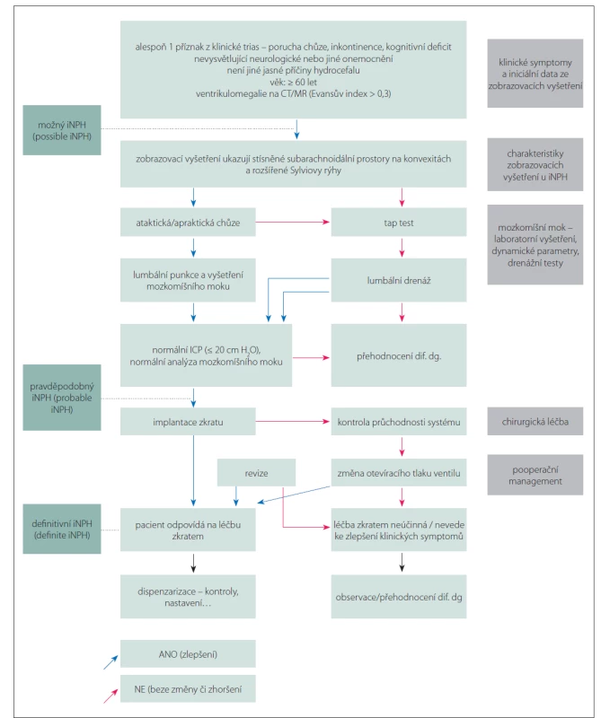Schéma diagnostického procesu iNPH z japonských doporučených postupů [11].<br>
ICP – nitrolební tlak; iNPH – idiopatický normotenzní hydrocefalus<br>
Fig. 8. Diagram of the iNPH diagnostic process from Japanese guidelines [11].<br>
ICP – intracerebral pressure; iNPH – idiopathic normal pressure hydrocephalus