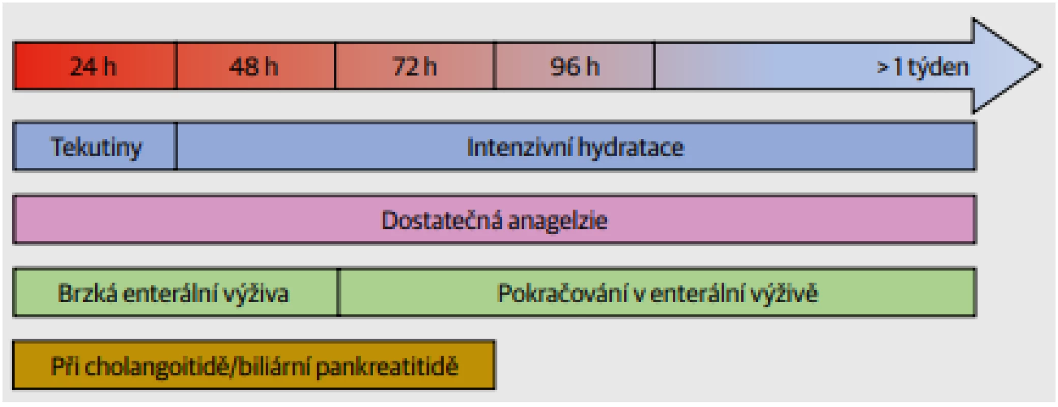 Důležité body při ošetřování pacienta v iniciální fázi těžké akutní pankreatitidy. Důraz je kladen na
objemovou resuscitaci, analgezii a brzkou enterální výživu.