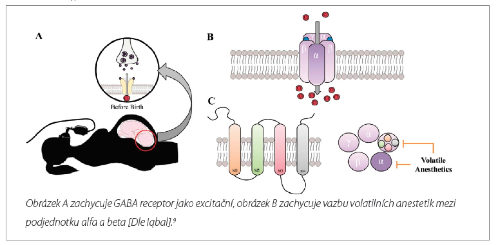 GABAA receptor