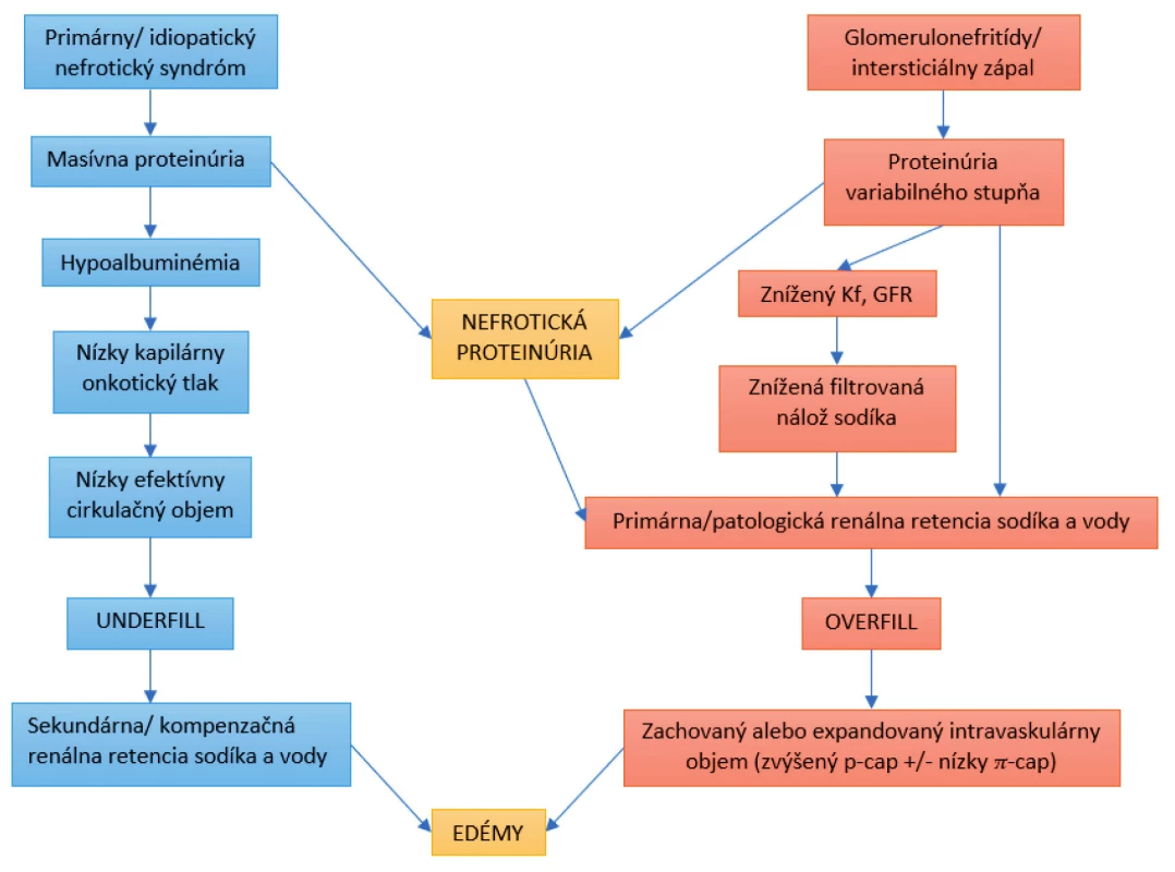  Patofyziológia vzniku edémov pri nefrotickom syndrome. <br>GFR – glomerulová filtrácia<br> p-cap – kapilárny hydraulický tlak tekutiny<br> π-cap – kapilárny onkotický tlak tekutiny <br>Kf – koeficient glomerulovej ultrafiltrácie
