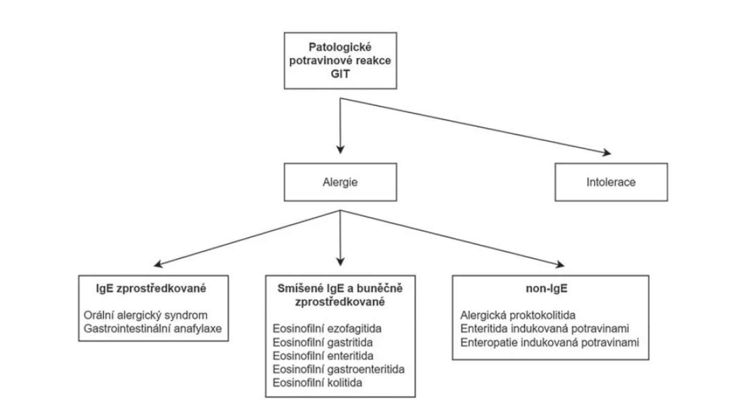 Klasifikace patologických potravinových reakcí GIT.<br>
GIT = gastrointestinální trakt.
