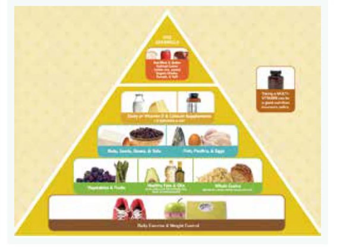 Pyramida Harvardovy university.
Upraveno podle [5]