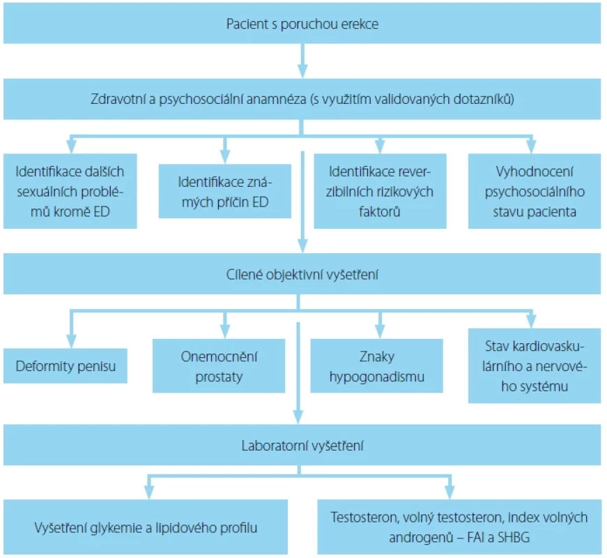 Algoritmus vyšetření pacienta s erektilní dysfunkcí – upraveno dle EAU guidelines (1) <br> 
Fig. 1. An algorithm of diagnostic evaluation in patients with ED – as per EAU guidelines (1)