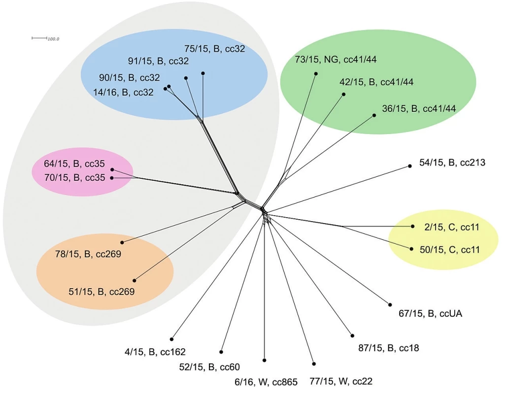 Vizualizace genetické diverzity na úrovni schématu “all loci“ u 20 izolátů z IMO, 2015, ČR<br> Figure 4. Visualisation of genetic diversity at the all loci level in 20 isolates from IMD, Czech Republic 2015