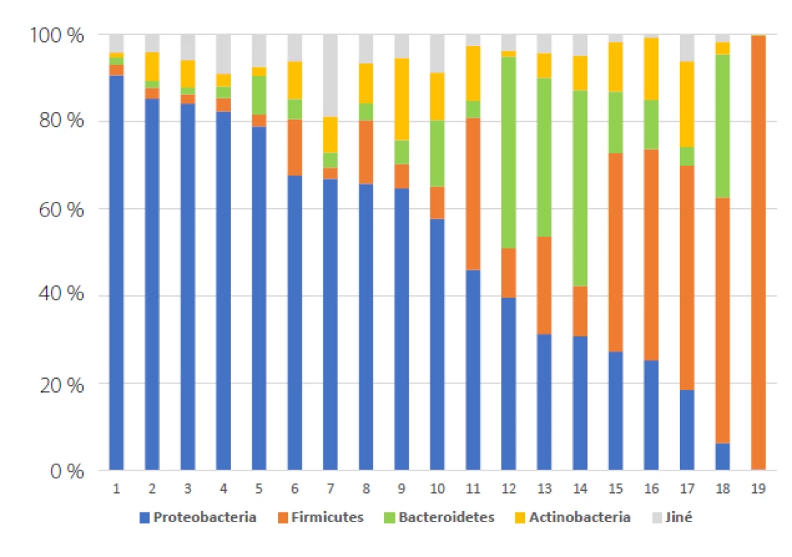 Graf relativní abundance
kmenů zastoupených v 19 vzorcích
moči (vlastní data autorů)<br>
Fig. 1. Relativa abundance graph of
phyla represented in 19 urine samples
(original data)