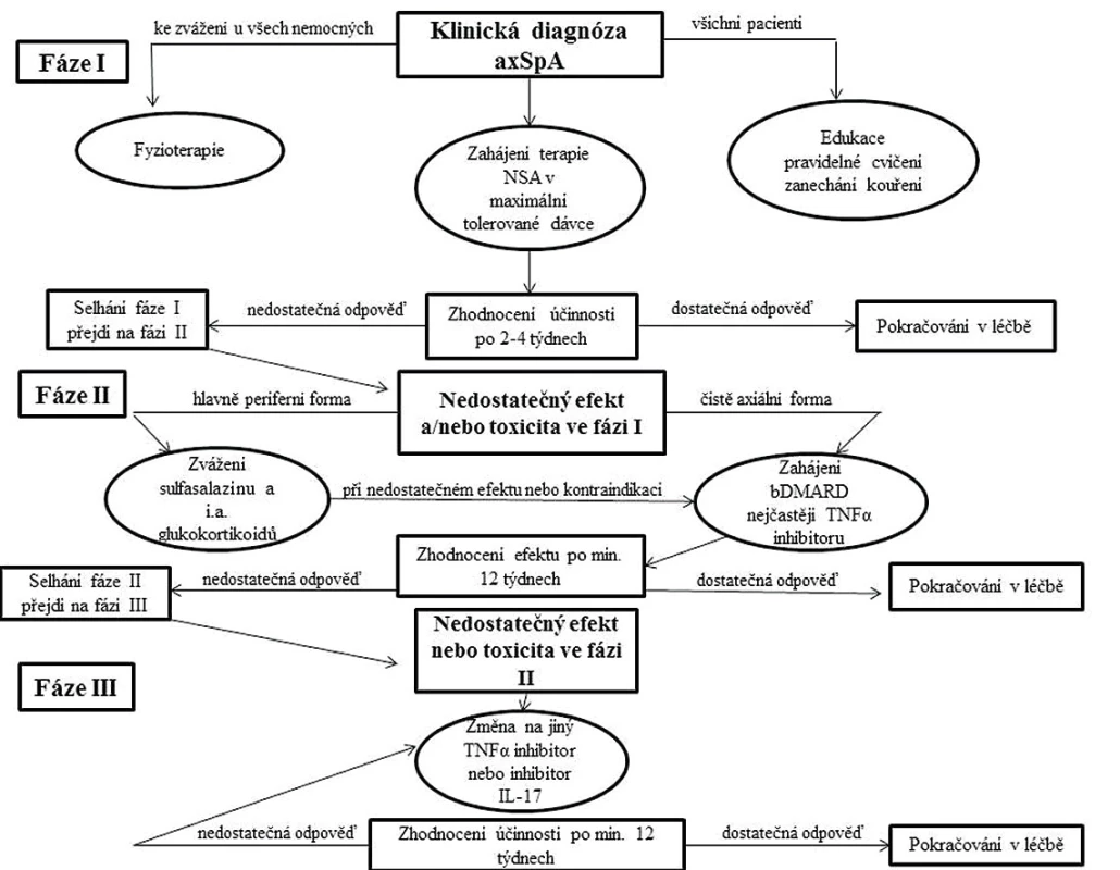 Doporučení pro léčbu axiální spondyloartritidy dle Evropské ligy proti revmatismu (EULAR) a Mezinárodní společnosti pro
hodnocení spondyloartritid (ASAS) z roku 2016
axSpA – axiální spondyloartritida, NSA – nesteroidní antiflogistika, bDMARD – biologický chorobu modifikující lék, TNF-α – tumor
nekrotizující faktor alfa, IL-17 – interleukin 17, i.a. – intraartikulární