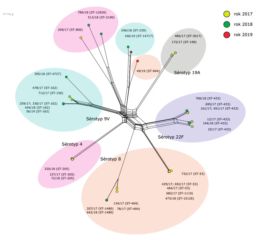 Vizualizace genetické diverzity na úrovni schématu “all loci” u 35 izolátů S. pneumoniae z IPO, 2017–2019, ČR<br>
Figure 3. Visualisation of genetic diversity according to the all loci scheme of 35 S. pneumoniae isolates from IPD, 2017–2019, Czech Republic 