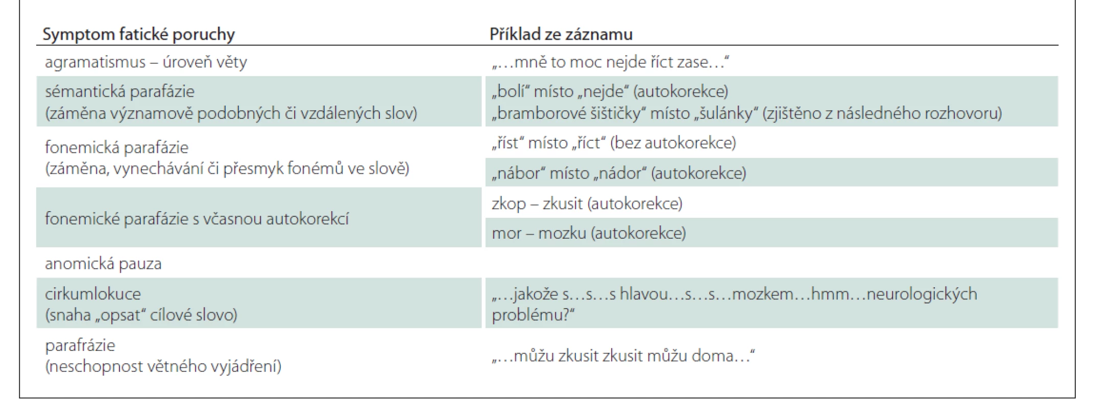 Vybrané symptomy fatické poruchy vyskytující se v přiloženém videozáznamu (video 1).