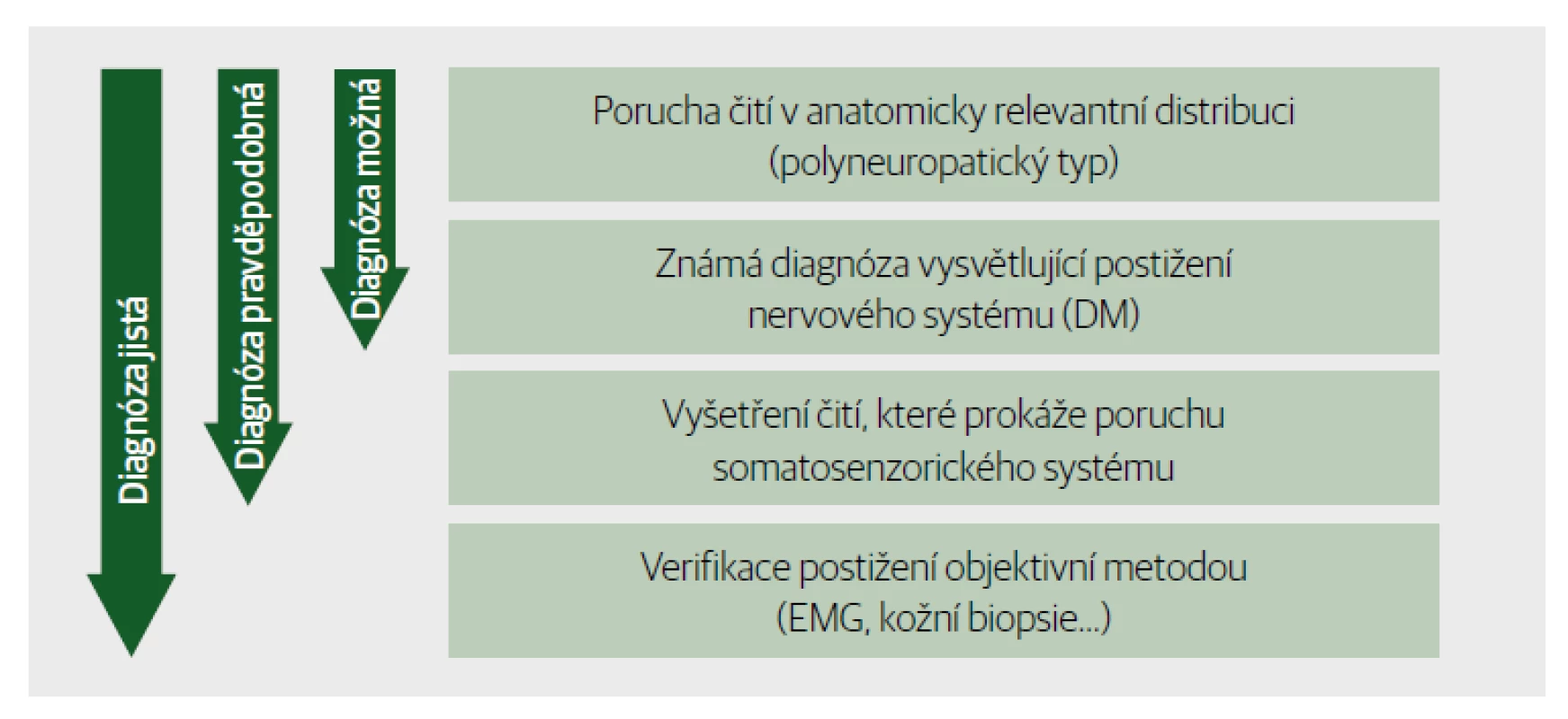 Diagnostika neuropatické bolesti. Diagnóza možná, pravděpodobná a jistá.