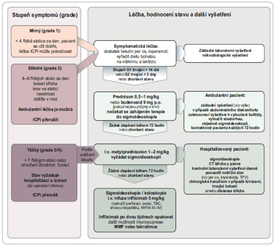 Tíže gastrointestinální toxicity systémové protinádorové imunoterapie. Hodnocení a principy léčby. Částečně zpracováno
podle [16].