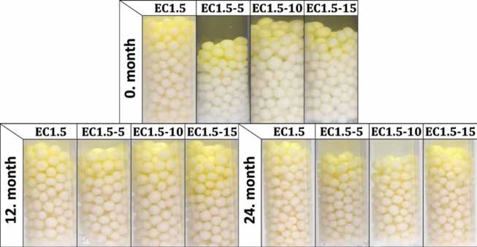Activity test of samples stored at 25 °C/60% RH for 24 months (photos were taken 120 s after the addition of Ellman’s test solution) 