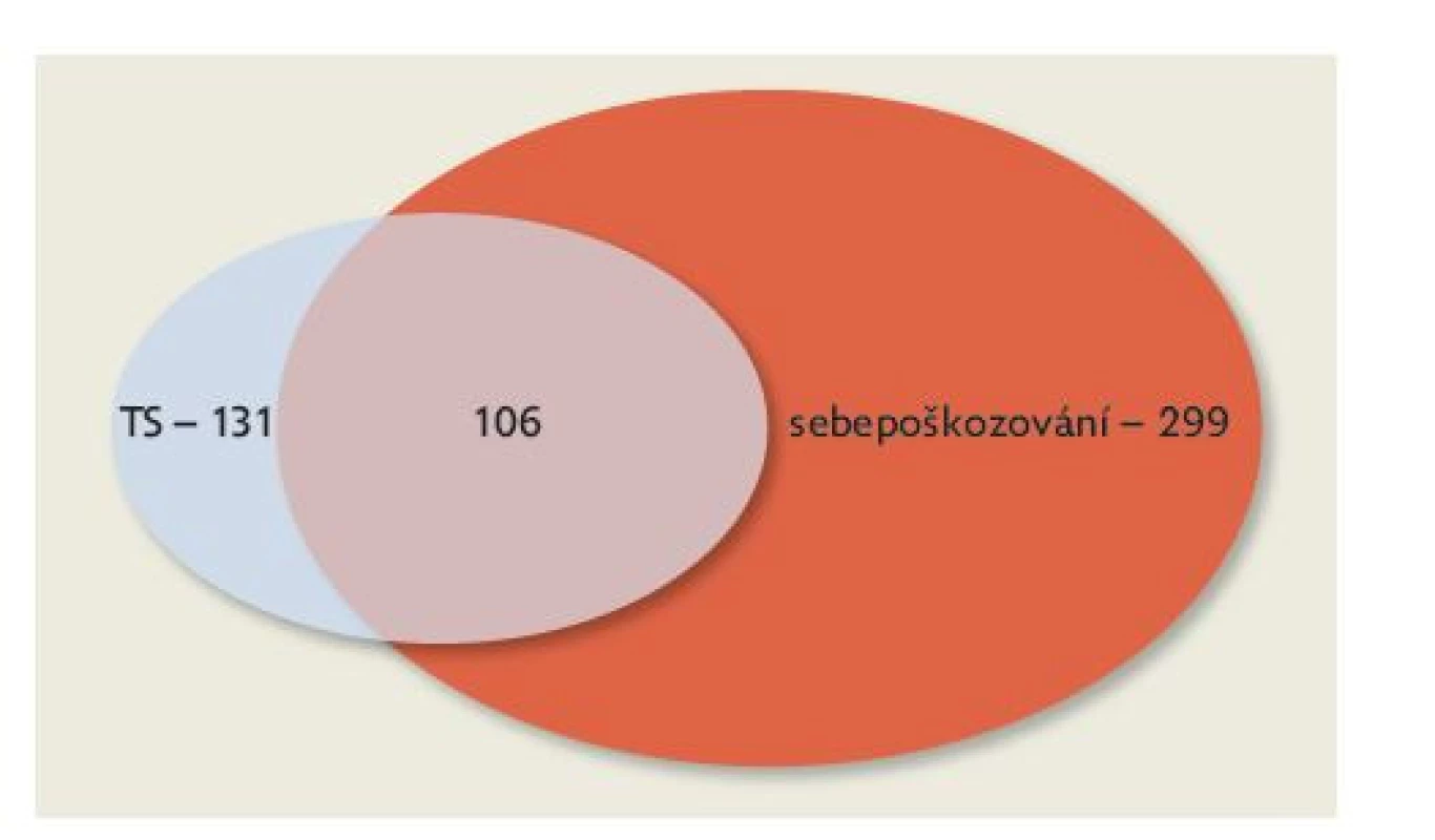 Suicidální pokus (TS – tentamen suicidii) a sebepoškozování
na Dětské psychiatrické klinice FN Motol v roce 2021