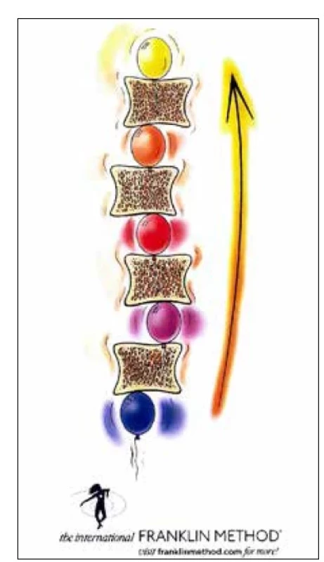 Dynamické postavení páteře –
E. Franklin.<br>
Fig. 4. Dynamic alignment of spine –
E. Franklin.