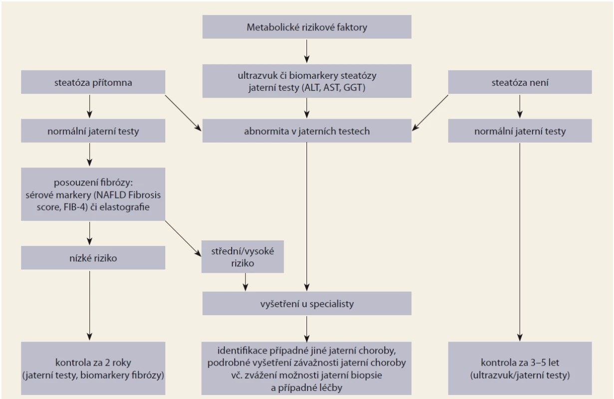 Screening NAFLD/NASH u pacientů s metabolickými rizikovými faktory.<br>
Fig. 1. Screening of NAFLD/NASH in patients with metabolic risk factors.