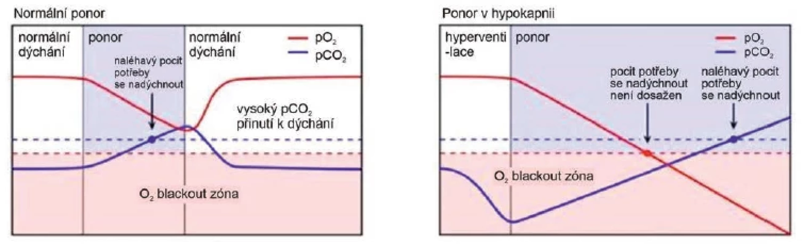 Změny pO2 a pCO2 v průběhu apnoického potápění po normálním dýchání a po hyperventilaci (po hyperventilaci se pocit
potřeby se nadechnout dostaví opožděně, v době, kdy hrozí blackout nebo již k němu dojde)