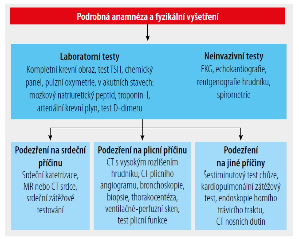 Postup k identifikaci příčin chronické dušnosti.