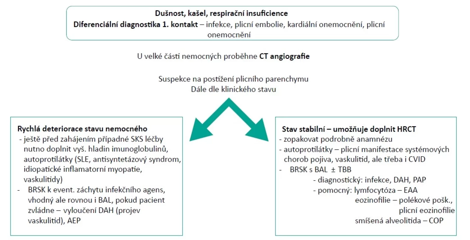 Vyšetřovací postup u nemocných s akutně probíhajícím intersticiálním plicním procesem