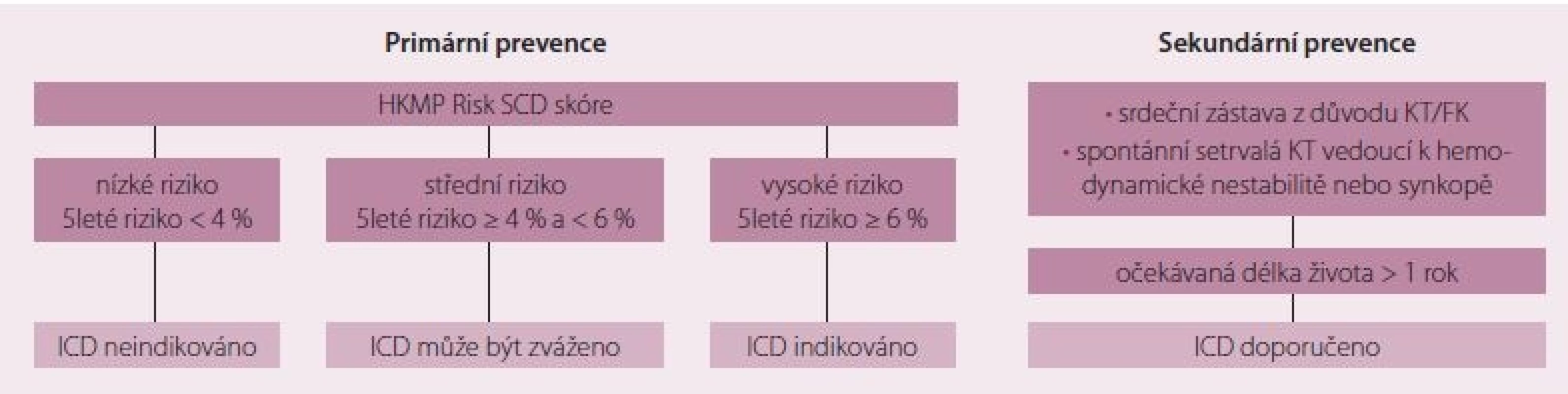 Indikace k implantaci kardioverter-defi brilátoru dle stratifi kace rizika náhlé srdeční smrti. Upraveno dle [23]. KT – komorová tachykardie, FK – fi brilace komor, ICD – implantabilní kardioverter-defi brilátor, HKMP – hypertrofi cká kardiomyopatie