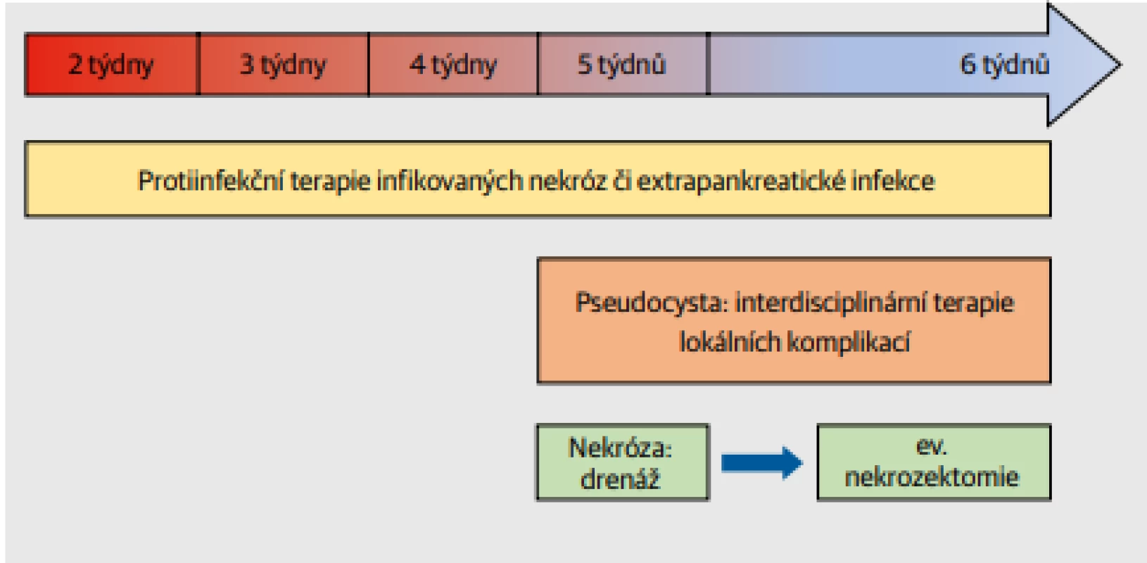  Léčebný postup pozdější fáze akutní pankreatitidy. Typickými terapeutickými opatřeními jsou antibiotická terapie infikovaných pankreatických nekróz a extrapankreatických komplikací, terapie lokálních
komplikací (drenáž pseudocyst) a po konsolidaci nekróz (WON – walled-off necrosis) definitivní
nekrozektomie.