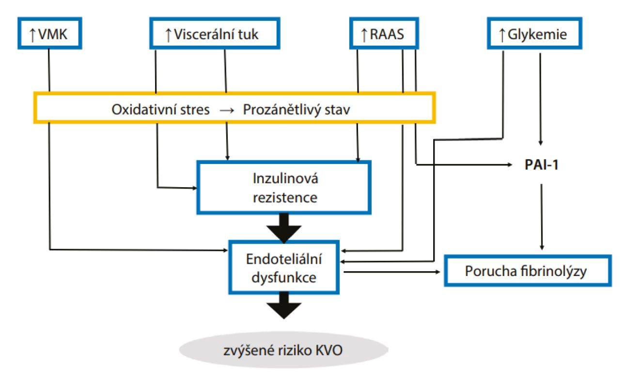 Schematické znázornění mechanismů zodpovědných za zvýšené kardiovaskulární riziko u pacientů s prediabetem. Adaptováno dle (23)