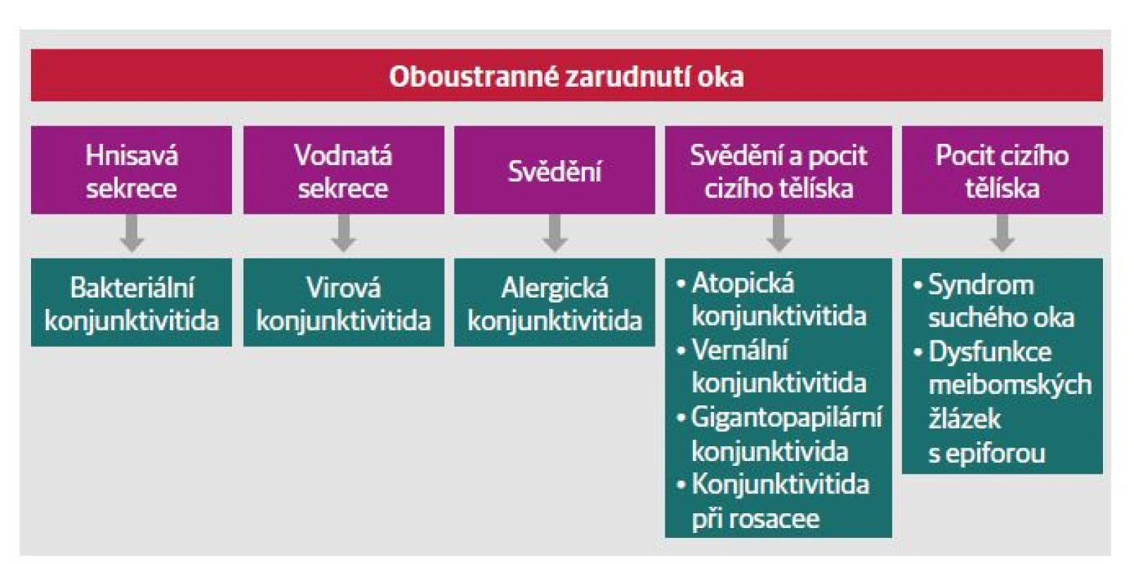 Algoritmus diferenciální diagnostiky u oboustranného zarudnutí oka.