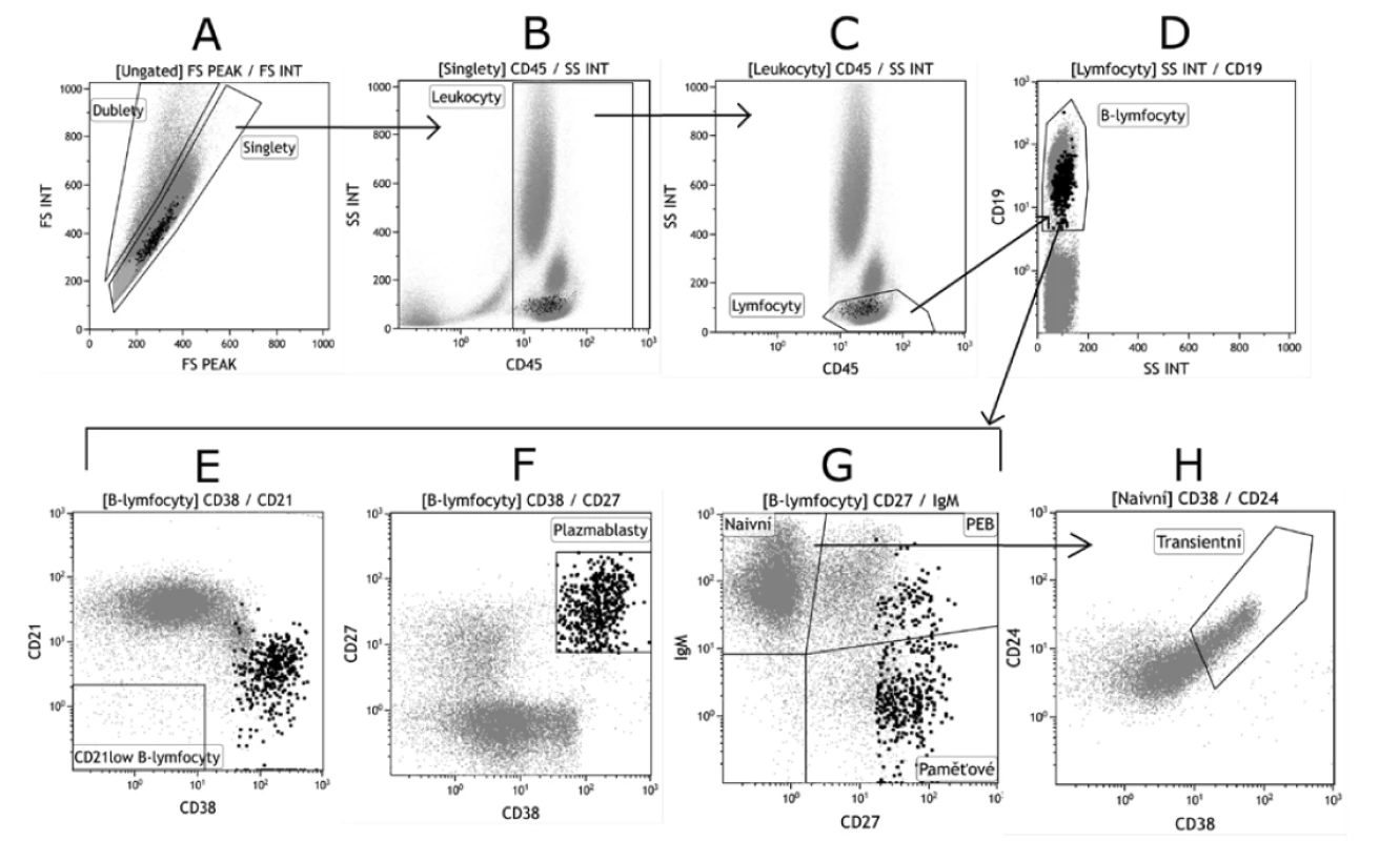 Základní gatovací strategie B lymfocytárních subpopulací<br>
Figure 2. Basic gating strategy for B cell populations