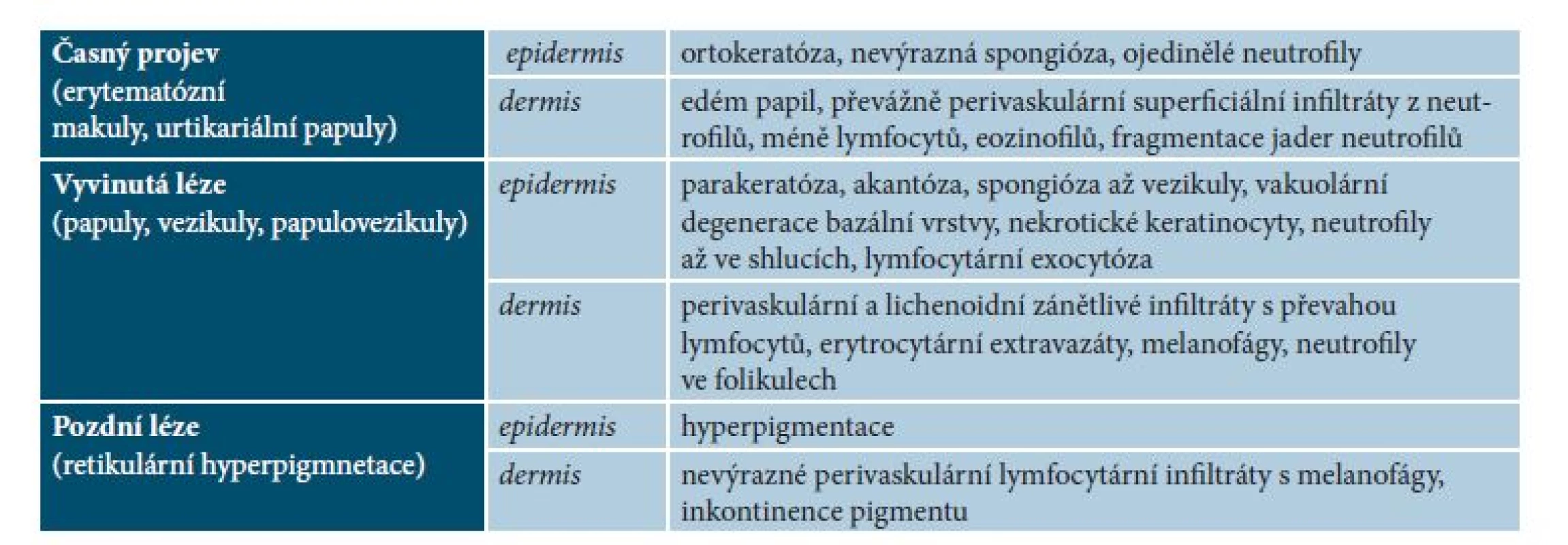 Klinickopatologická korelace vývojových fází kožních projevů prurigo pigmentosa [2, 3, 15]