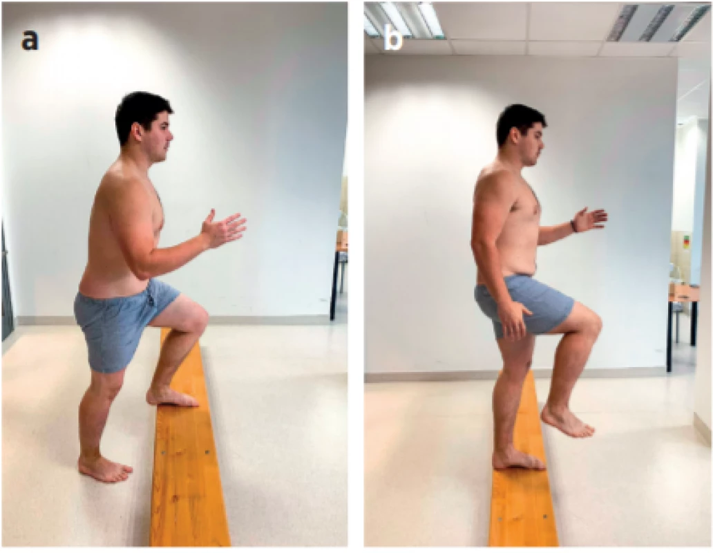a, b a) Nácvik předního/zadního půlkroku, zapojení mm.
gastrocnemií, koaktivace m. quadriceps femoris, hamstringů,
zvýšení propriocepce s pomocí lavičky – základní pozice (fáze
1). b) Nácvik předního/zadního půlkroku, zapojení mm. gastrocnemií, koaktivace m. quadriceps femoris, hamstringů, zvýšení
propriocepce s pomocí lavičky – základní pozice (fáze 2).