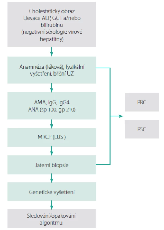 Vyšetřovací schéma. Upraveno dle EASL (2)