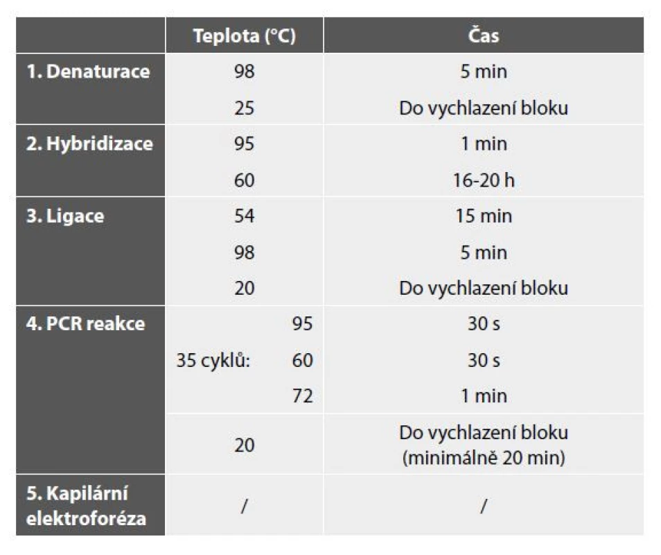 Jednotlivé kroky metody MLPA.