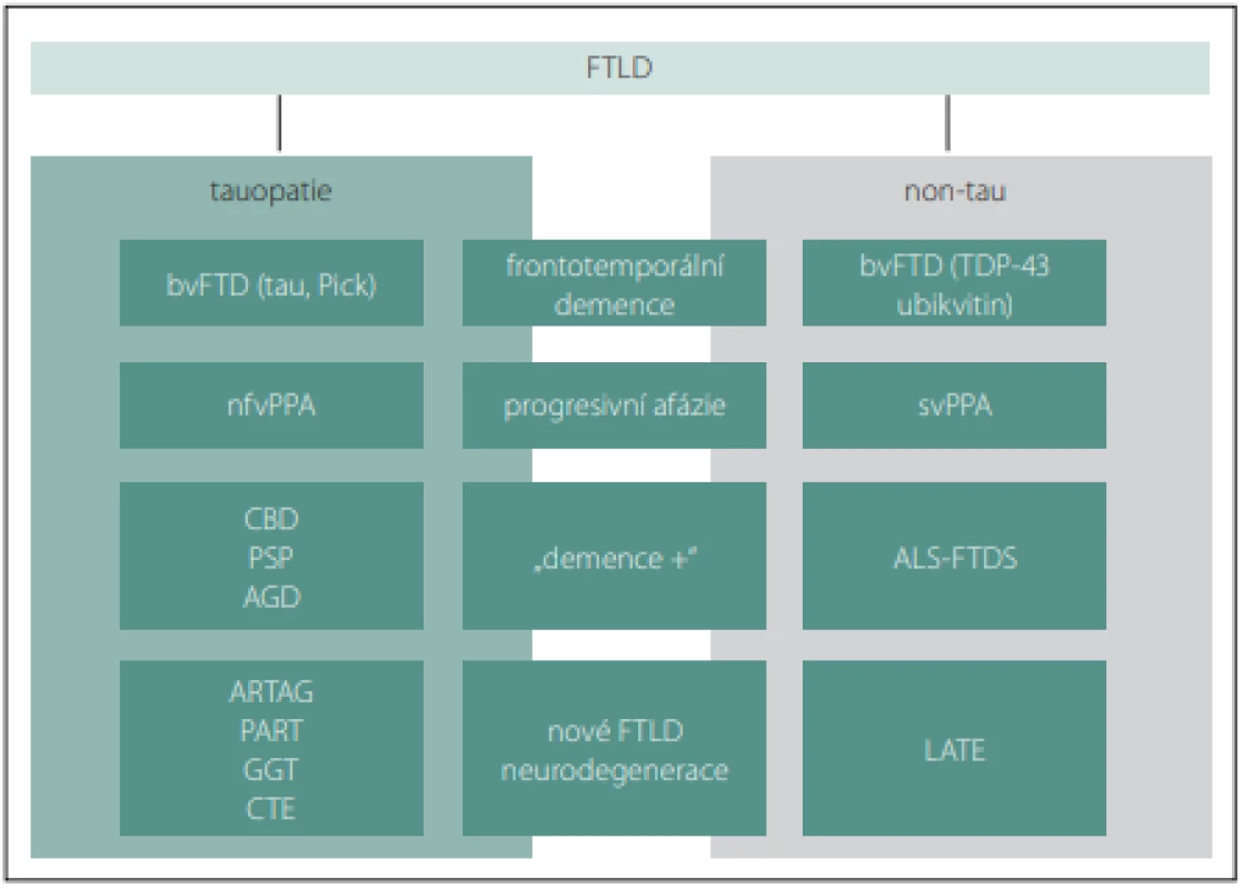 Současná klasifi kace FTLD (vlevo tauopatie, vpravo tau negativní formy; klinické 
formy jsou horizontálně seskupeny) upraveno dle [7].<br>
Fig. 1. Current classifi cation of FTLD (tauopathies left, tau negative forms right; clinical 
forms are grouped horizontally (modifi ed from [7]).