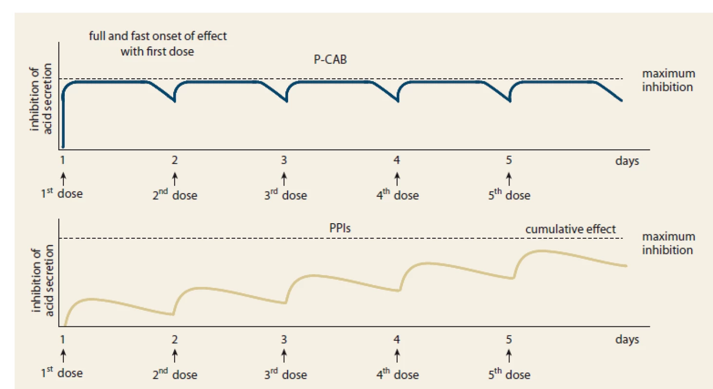 Time course of acid inhibition by P-CABs and PPIs – computer simulation [1].<br>
Obr. 2. Časový průběh inhibice kyseliny pomocí P-CAB a PPI – počítačová simulace [1].