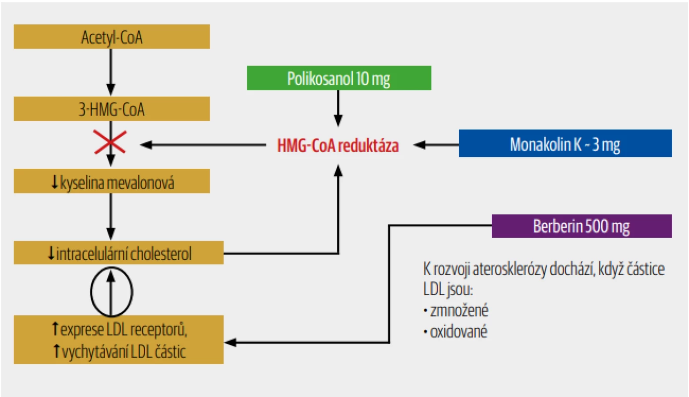 Společný synergický efekt jednotlivých složek přípravku ArmoLIPID PLUS na snížení LDL-cholesterolu. [4]