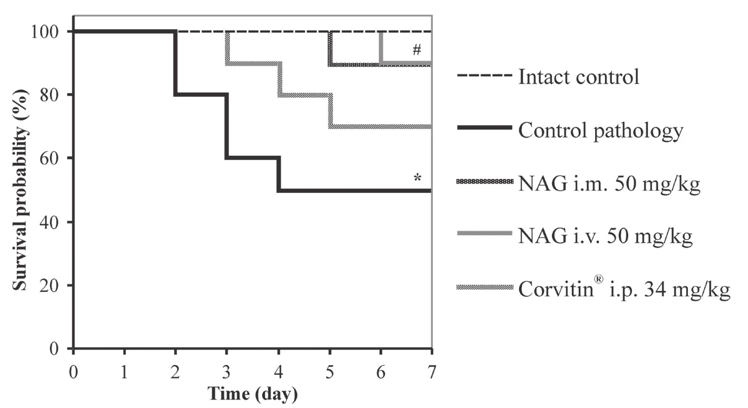 Kaplan-Meier survival curves in rats with AKI under the influence of NAG (n = 48)<br>
* significant relative to the intact control group (p < 0.05)<br>
# significant relative to the control pathology group (p < 0.05)<br>
n – number of animals in the experiment
