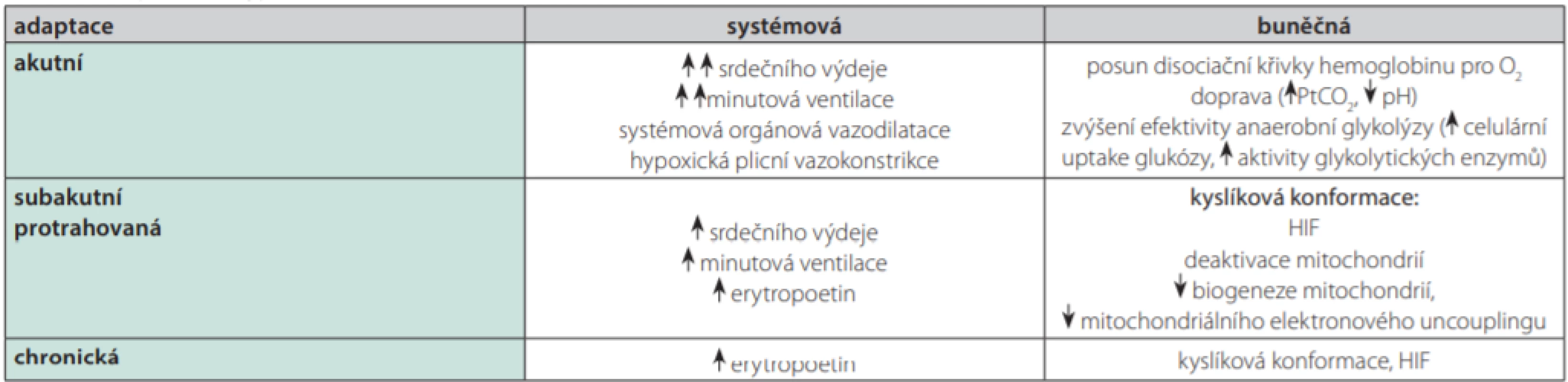Adaptace na hypoxie v závislosti na čase a lokalizaci