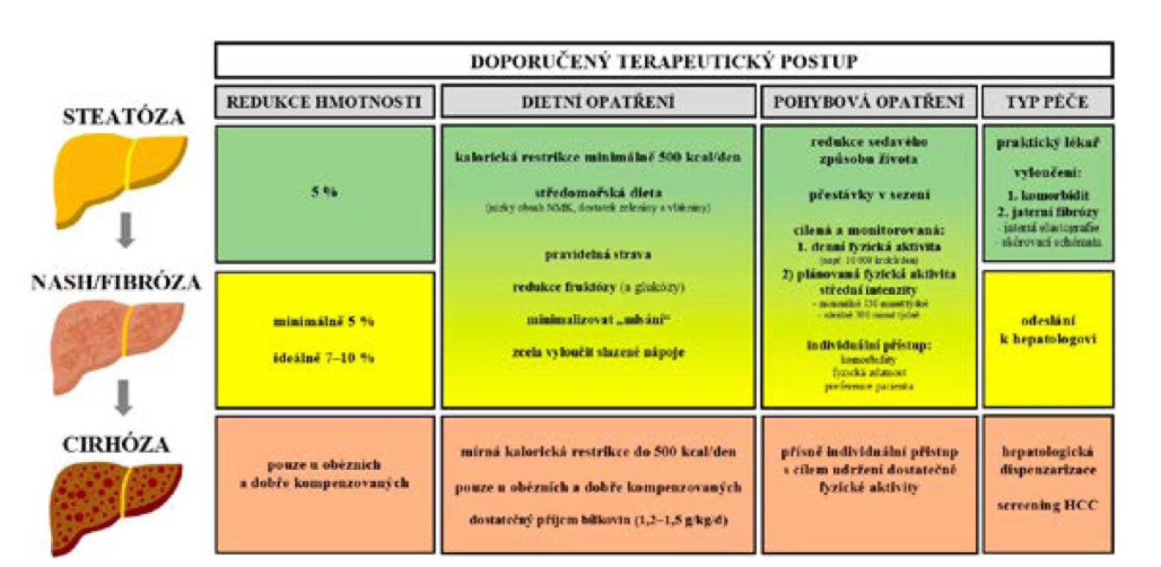 Přehled režimových opatření v terapii NAFL