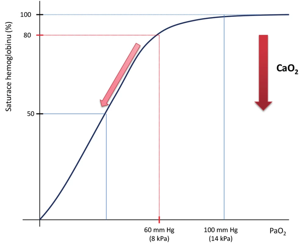 Disociační křivka hemoglobinu pro O<sub>2</sub>
 a koncentrace O<sub>2</sub>