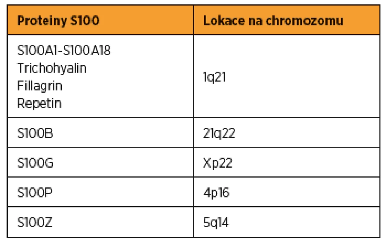 Proteiny skupiny S100 a lokace jejich specifických genů