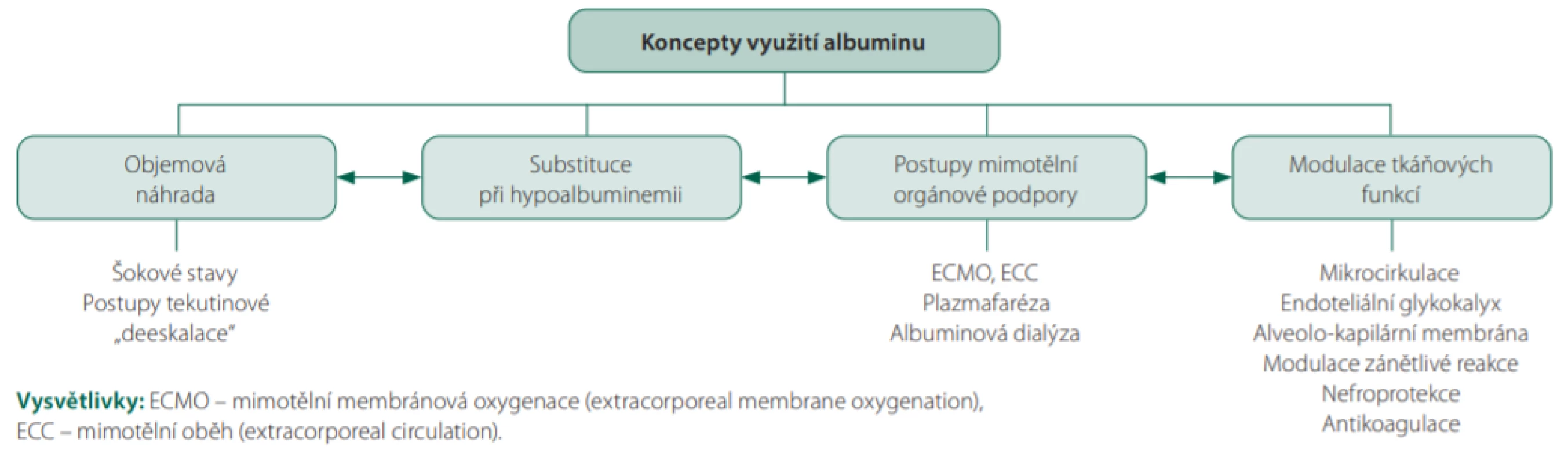 Koncepty využití albuminu v oboru anesteziologie a intenzivní medicína