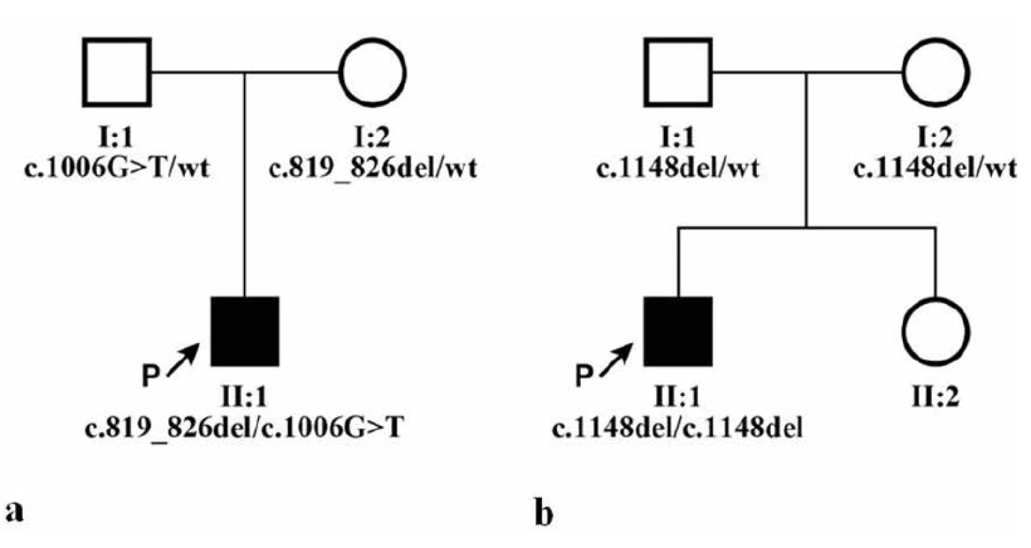 Rodokmeny obou rodin a segregace identifikovaných mutací v genu
CNGB3, wt označuje referenční sekvenci (anglicky „wild type“). a) rodina probanda
1, b) rodina probanda 2