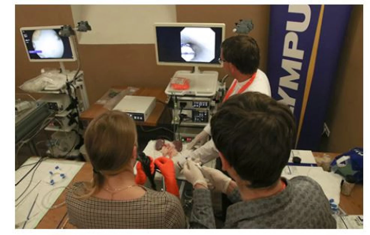 Kurzy byly zaměřené na flexibilní ureteroskopii
a cystolitotrypsi<br>
Fig. 9. The courses were focused on flexible ureteroscopy
and cystolithotripsy