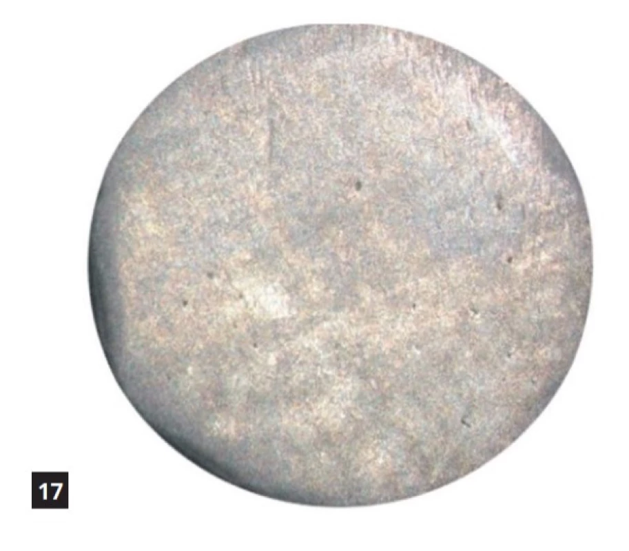 Kontrolní vzorek amalgámu ve vodě<br>
Fig. 17 Amalgam control sample in water