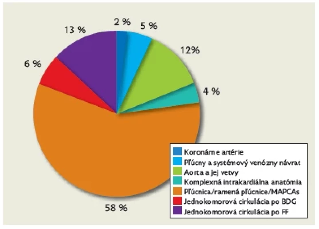Prehľad indikačných skupín CTA vyšetrení u pacientov
s VCC po kardiochirurgickej alebo katetrizačnej intervencii