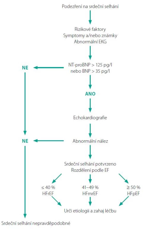 Diagnostický algoritmus pro srdeční selhání
