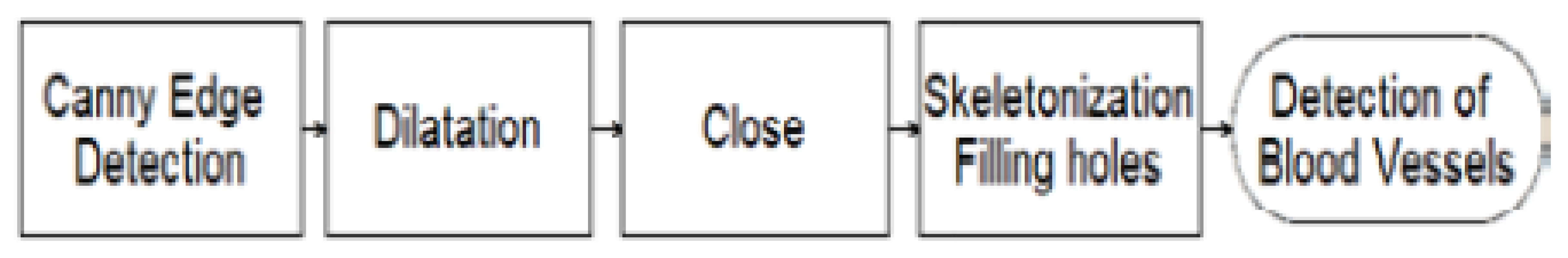 Segmentation procedure for extraction of
retinal vascular system.