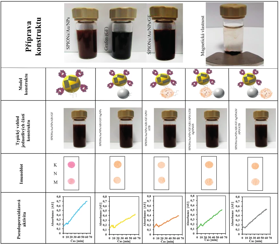 Shrnutí přípravy a vlastností jednotlivých části komplexního nanokonstruktu<br>
Řádek 1: Příprava nanokonstruktu s magnetickými vlastnosti. SPION nanočástice pokryté zlatem jako výchozí část nanokonstruktu.
Typická fotografie disperze nanočástic SPIONs/Au/NPs; grafenu (GF) a SPIONs/Au/NPs/GF; Fotografie po interakci s magnetem po 20
s SPIONs/Au/NPs.<br>
Řádek 2: Ukazuje jednotlivé části a modely nanokonstruktu, které byly testovány.<br>
Řádek 3: Typický vzhled jednotlivých připravených typů konstruktu.<br>
Řádek 4: Typické dot blot analýzy jednotlivých testovaných nanokonstruktů: K – kontrola, M – testovaný nanokonstrukt,
N – negativní kontrola.<br>
Řádek 5: Typické časové průběhy pseudoperoxidázové reakce pro jednotlivé testované nanokonstrukty.
