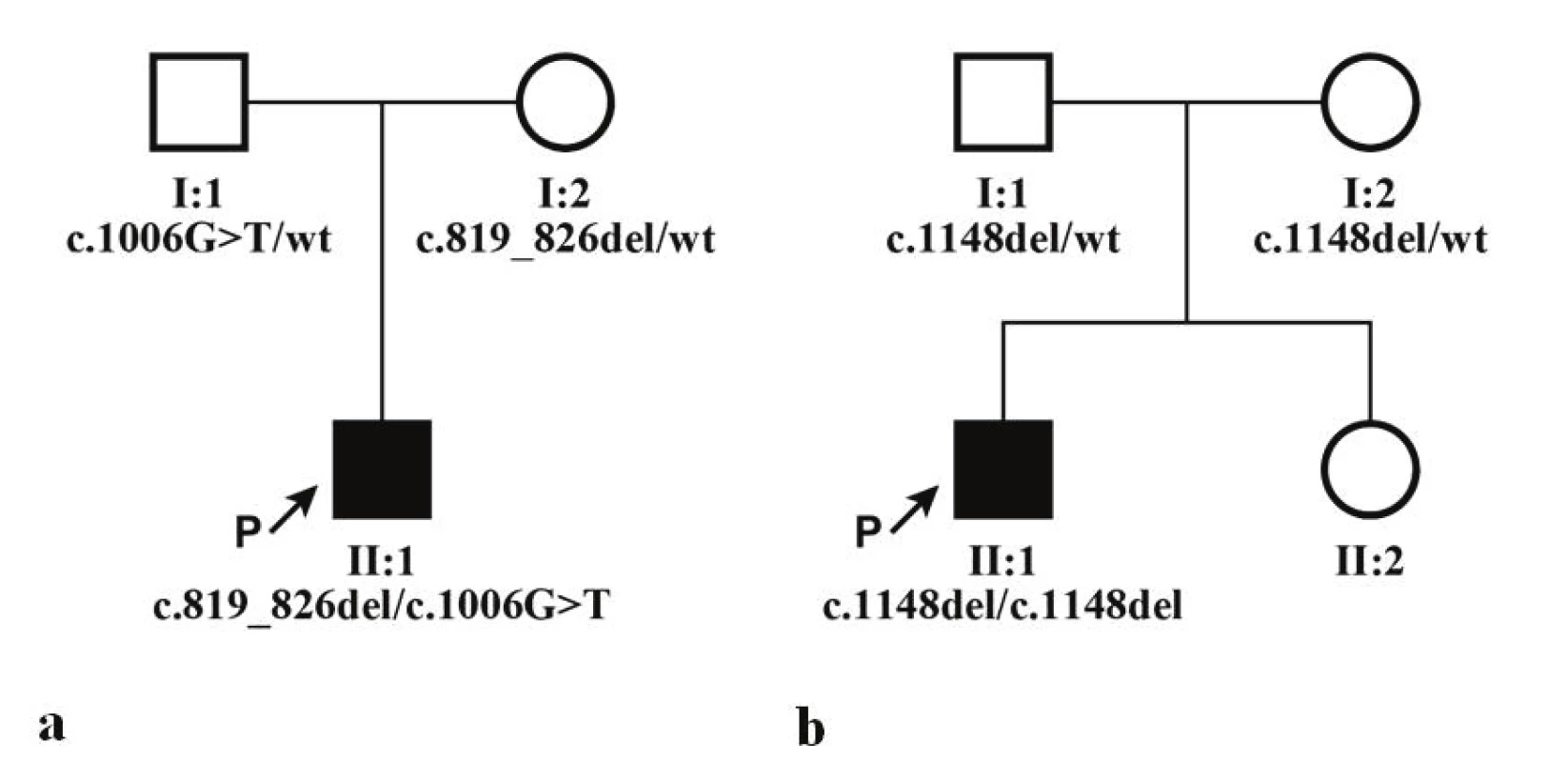 Genealogies of both families and segregation of identified mutations in
gene CNGB3, wt indicates referential sequence (wild type). a) family of proband
1, b) family of proband 2