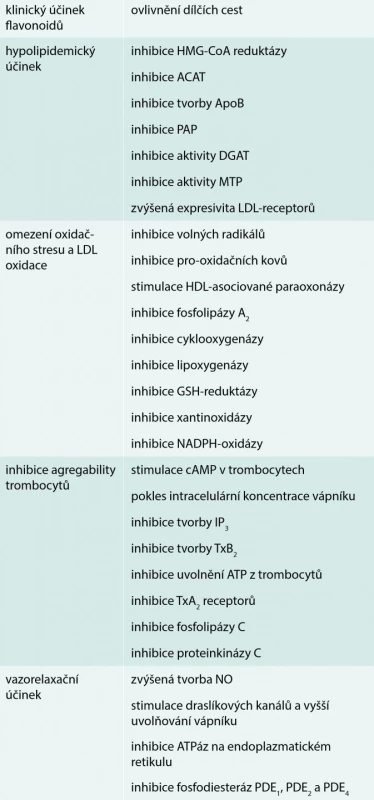 Schematický přehled možného působení
flavonoidů. Upraveno podle [4]