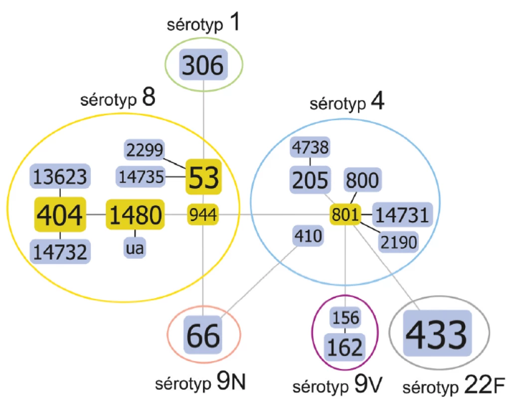 Diagram genetické příbuznosti podle MLST analýzy, algoritmus eBURST,
u souboru kmenů S. pneumoniae, ČR, 1997<br>
Figure 1. Diagram of genetic relatedness based on MLST, eBURST algorithm for
selected strains of S. pneumoniae, CR, 2017